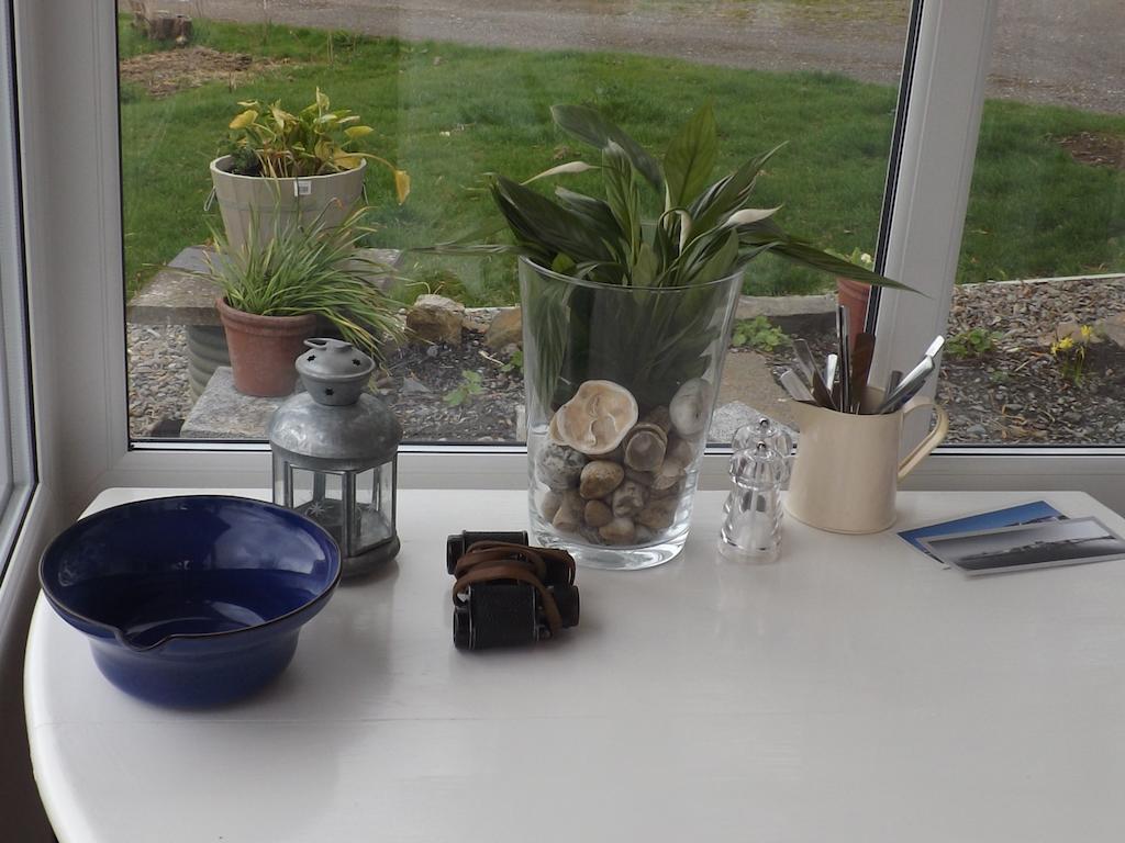 The Swallows Guest House New Quay  Extérieur photo