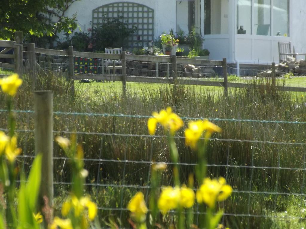 The Swallows Guest House New Quay  Chambre photo