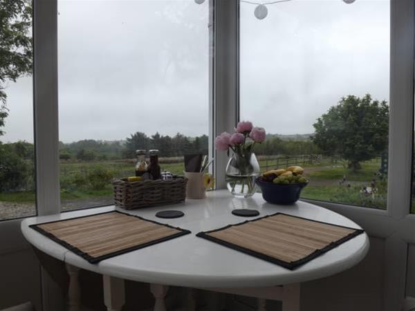 The Swallows Guest House New Quay  Extérieur photo
